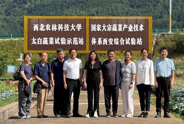 图片1_副本.png