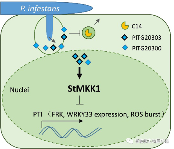 6b23d57a42b64bf695e7e2f22b99d1f5.png 进展图片_副本.png