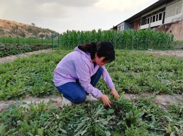 34e04ef72820421a808a02adc9021772.png QQ截图20210307110855_副本.png