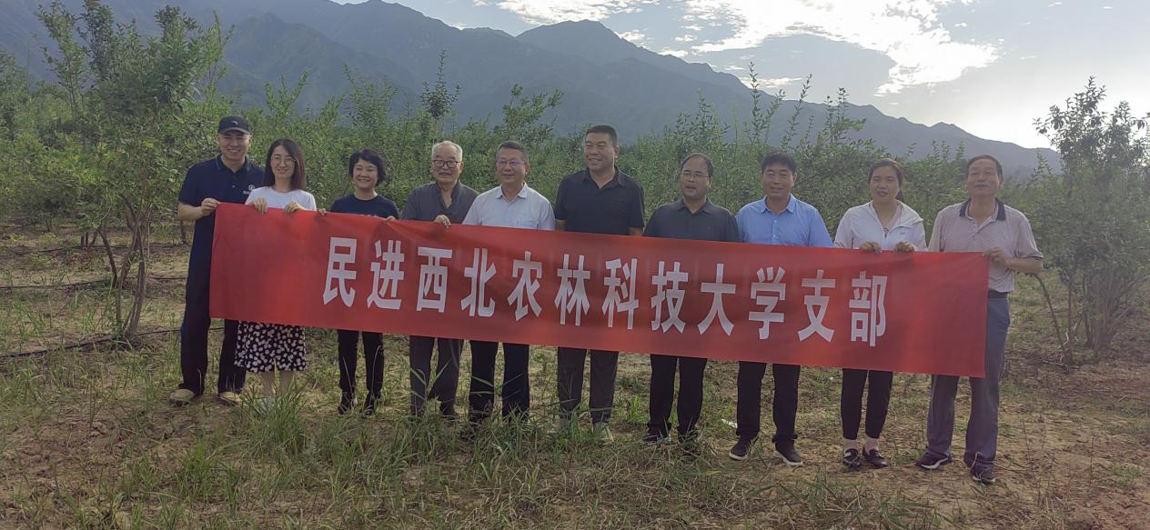 eb7020468af64df9b10f3854f904529b.png eb7020468af64df9b10f3854f904529b.png